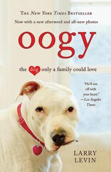 Oogy The Dog Only a Family Could Love