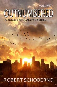 OUTNUMBERED (Book 5)