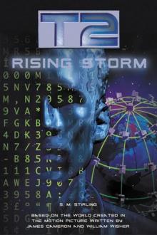 Rising Storm t2-2