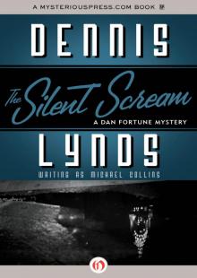 Silent Scream df-6