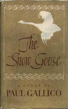 The Snow Goose