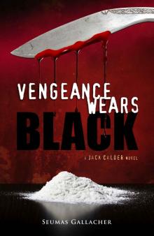 VENGEANCE WEARS BLACK (Jack Calder Crime Series #2)