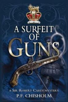 3 A Surfeit of Guns