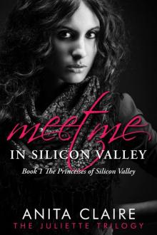 Meet Me in Silicon Valley