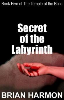 Secret of the Labyrinth (The Temple of the Blind #5)