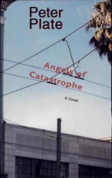 Angels of Catastrophe: A Novel