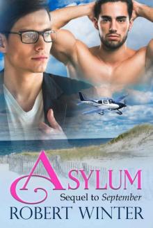 Asylum (Pride and Joy Book 2)