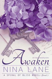 Awaken: A Spiral of Bliss Novel (Book Three)