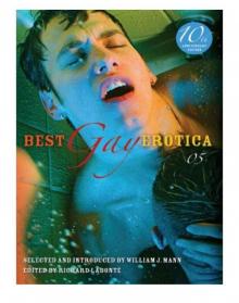 Best Gay Erotica 2005