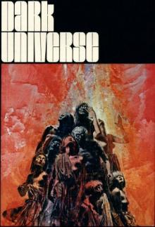 Dark Universe