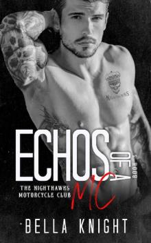 Echoes of a MC (The Nighthawks MC Book 12)