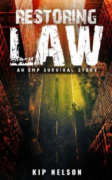 EMP Crash (Book 6): Restoring Law