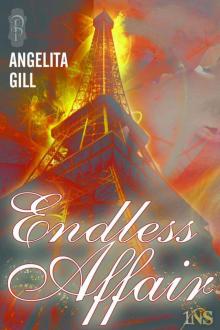 Endless Affair (A 1 Night Stand Story)