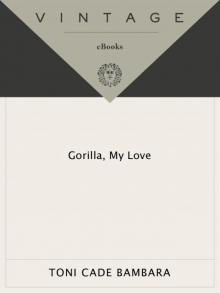 Gorilla, My Love