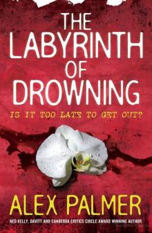 Harrigan and Grace - 03 - The Labyrinth of Drowning