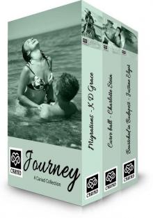 Journey: A Cariad Romance Three Book Bundle (Cariad Collections)