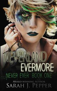 Neverland Evermore (Never Ever Series Book 1)