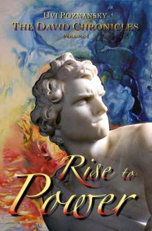 Rise to Power (The David Chronicles) (Volume 1)