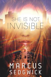 She Is Not Invisible