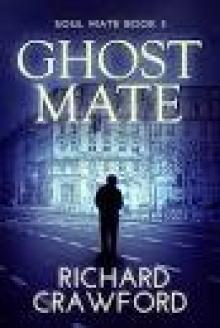 Soul Mate (Book One)