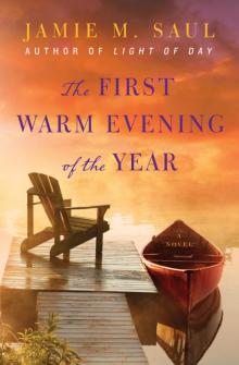 The First Warm Evening of the Year: A Novel