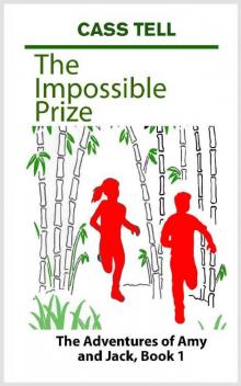 The Impossible Prize