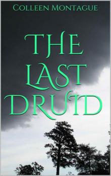 The Last Druid