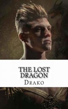 The Lost Dragon (The Dragon Hunters Book 1)