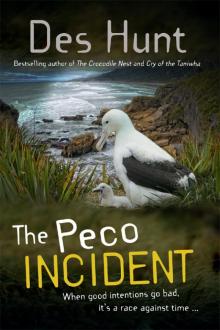 The Peco Incident