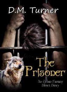 The Prisoner