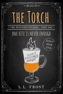 The Torch: Succubus Studies Serial (Succubus Harem Book 6)