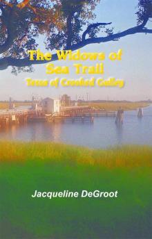 The Widows of Sea Trail-Tessa of Crooked Gulley