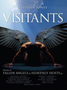 Visitants-Stories of Fallen Angels and Heavenly Hosts