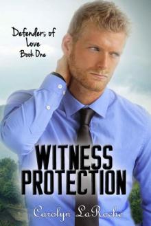 Witness Protection (Defenders of Love Book 1)