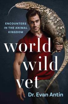 World Wild Vet