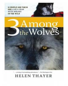 3 Among the Wolves