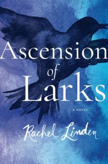 Ascension of Larks