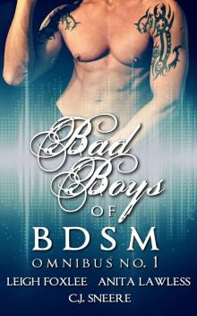 Bad Boys of BDSM Omnibus No. 1