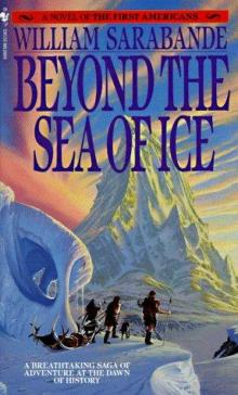 Beyond the Sea of Ice