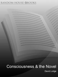 Consciousness and the Novel