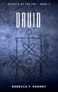 Druid (Secrets of the Fae Book 2)