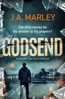 Godsend_a gripping, fast-paced thriller