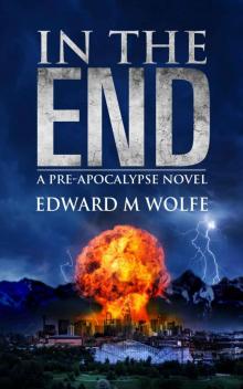 In The End: a pre-apocalypse novel