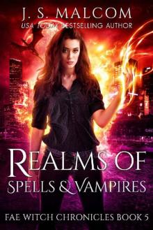 Realms of Spells and Vampires: Fae Witch Chronicles Book 5