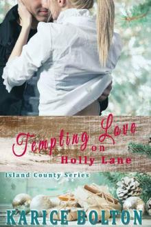 Tempting Love on Holly Lane (Island County Book 5)