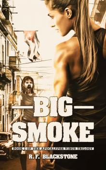 The Apocalypse Virus Trilogy_Book 1_Big Smoke