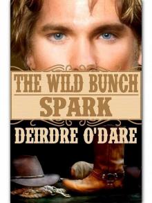 The Wild Bunch 2 Spark