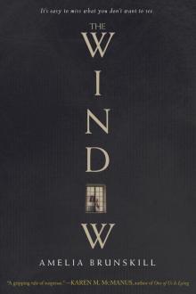 The Window