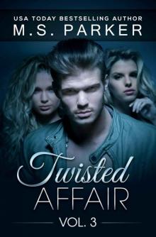 Twisted Affair Vol. 3 (An Erotic Romance)