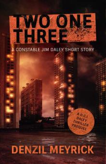 Two One Three: A DCI Daley Thriller Short